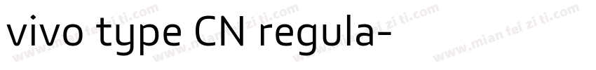 vivo type CN regula字体转换